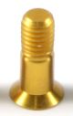 WF-MTBE Schaltwerk Schraubensatz gold eloxiert für Schaltungsrollen 2 x M5
